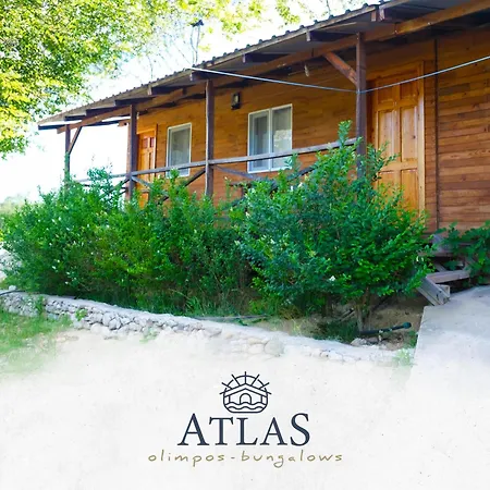 Atlas Homestay *
