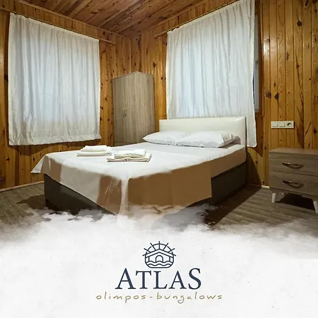 Atlas Homestay *